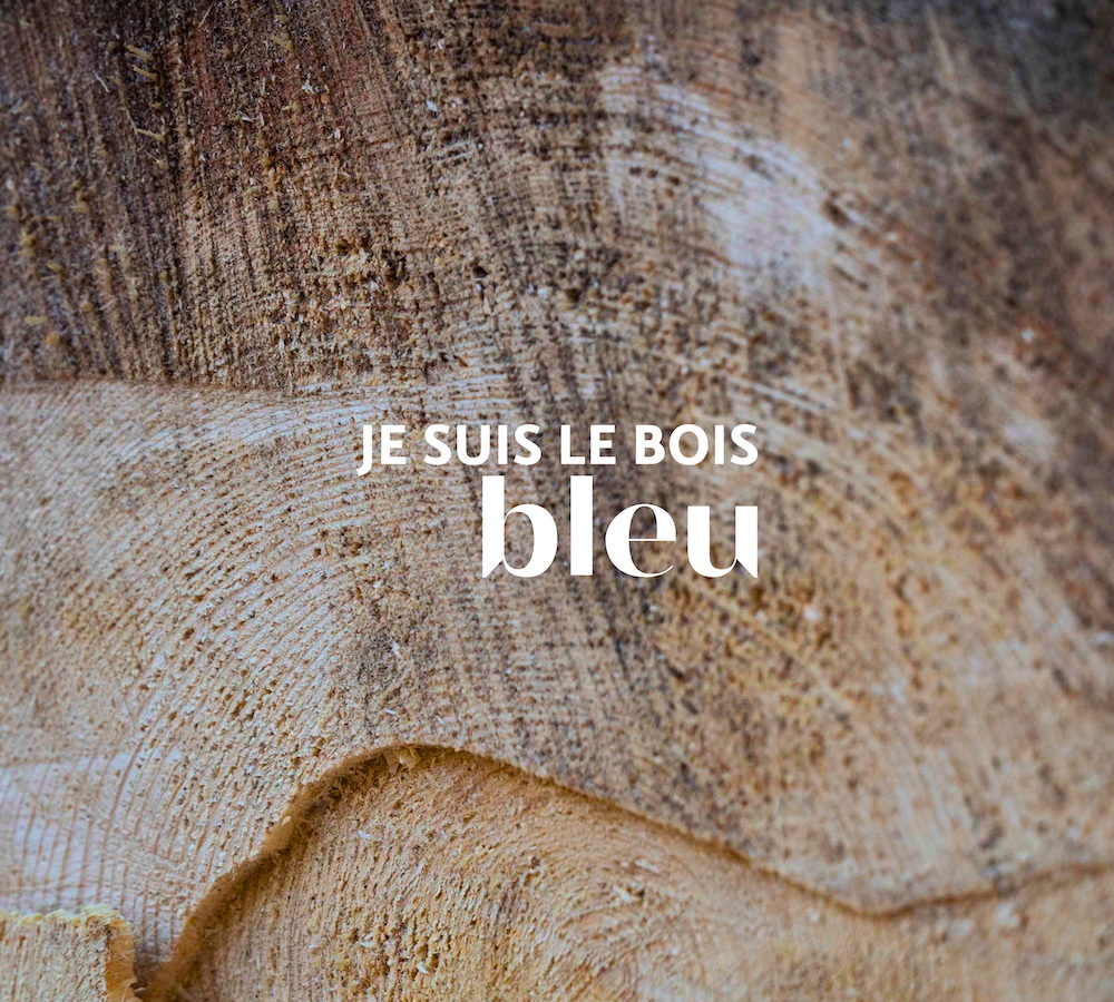 je suis le bois bleu 1600