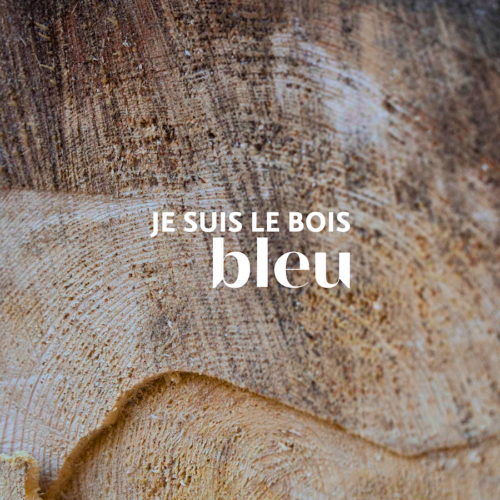 je suis le bois bleu 1600