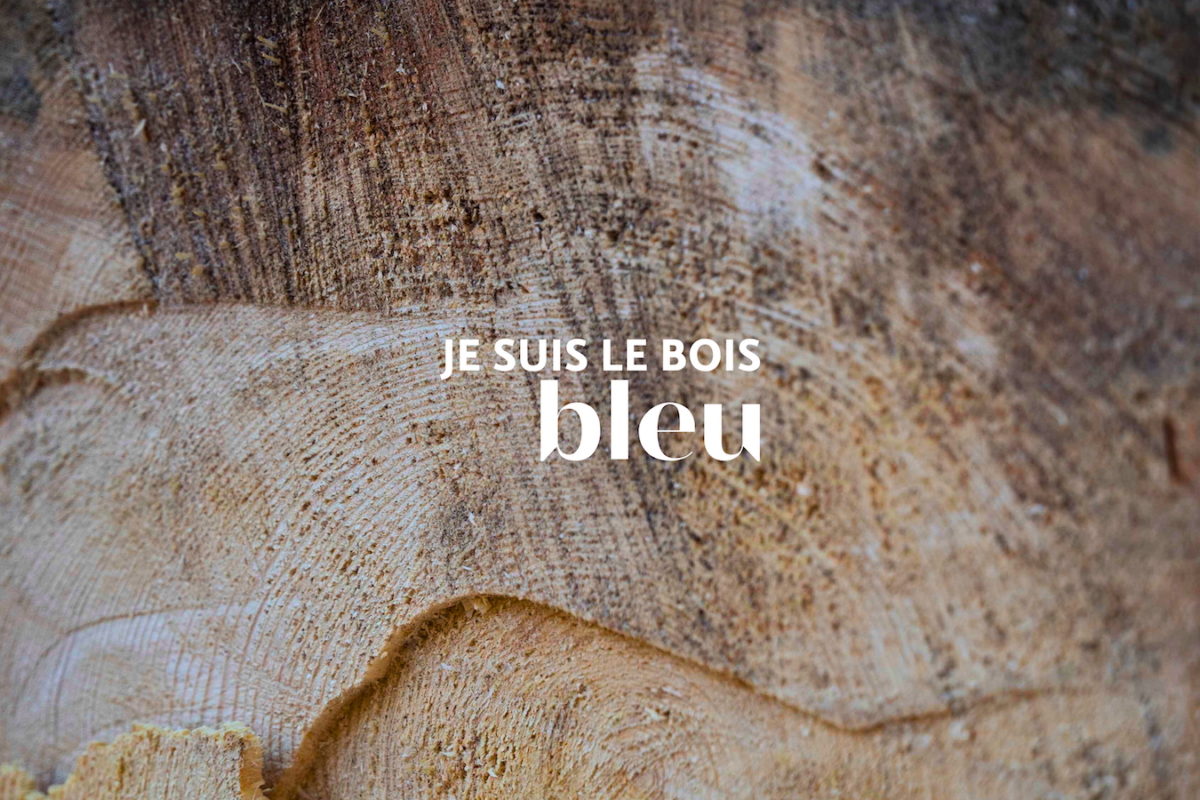 je suis le bois bleu 1600